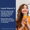 carlson-labs-vitamin-b-6-liquid-4-oz-3.jpg