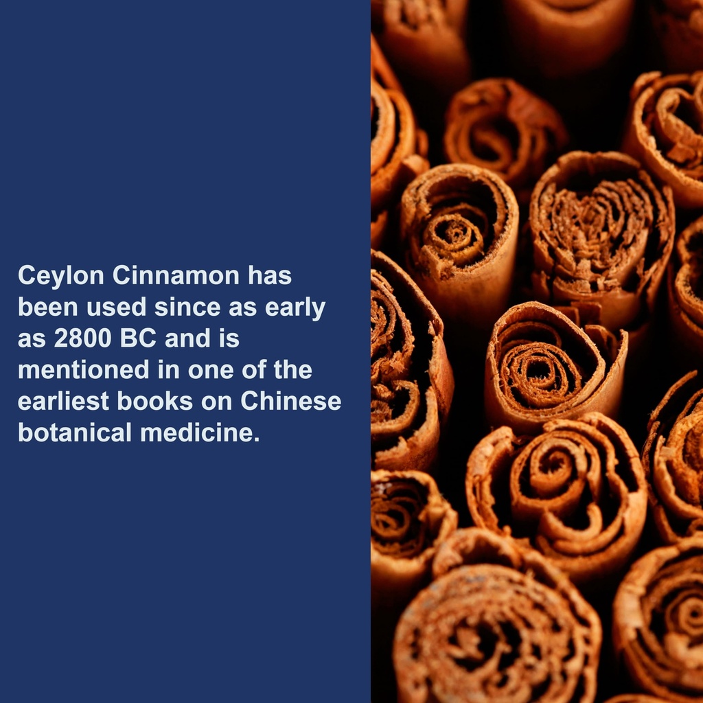 carlson-ceylon-cinnamon-cinnamon-supplem-5.jpg