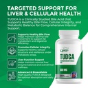 leaping-lynx-tudca-500mg-tauroursodeoxyc-6.jpg