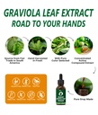organic-soursop-graviola-leaf-extract-li-4.jpg