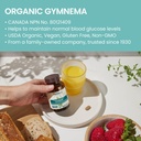 himalaya-organic-gymnema-sylvestre-herba-6.jpg