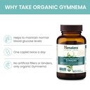himalaya-organic-gymnema-sylvestre-herba-3.jpg