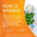 doctor-s-best-benfotiamine-300-with-benf-4.jpg