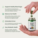 snap-supplements-blood-sugar-gummies-sup-4.jpg