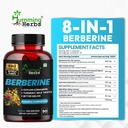 berberine-1300mg-with-ceylon-cinnamon-tu-2.jpg