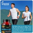 berberine-1300mg-with-ceylon-cinnamon-tu-4.jpg