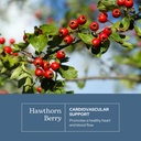 eclectic-herb-hawthorn-berry-capsules-ca-3.jpg