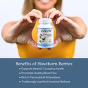 eclectic-herb-hawthorn-berry-capsules-ca-4.jpg