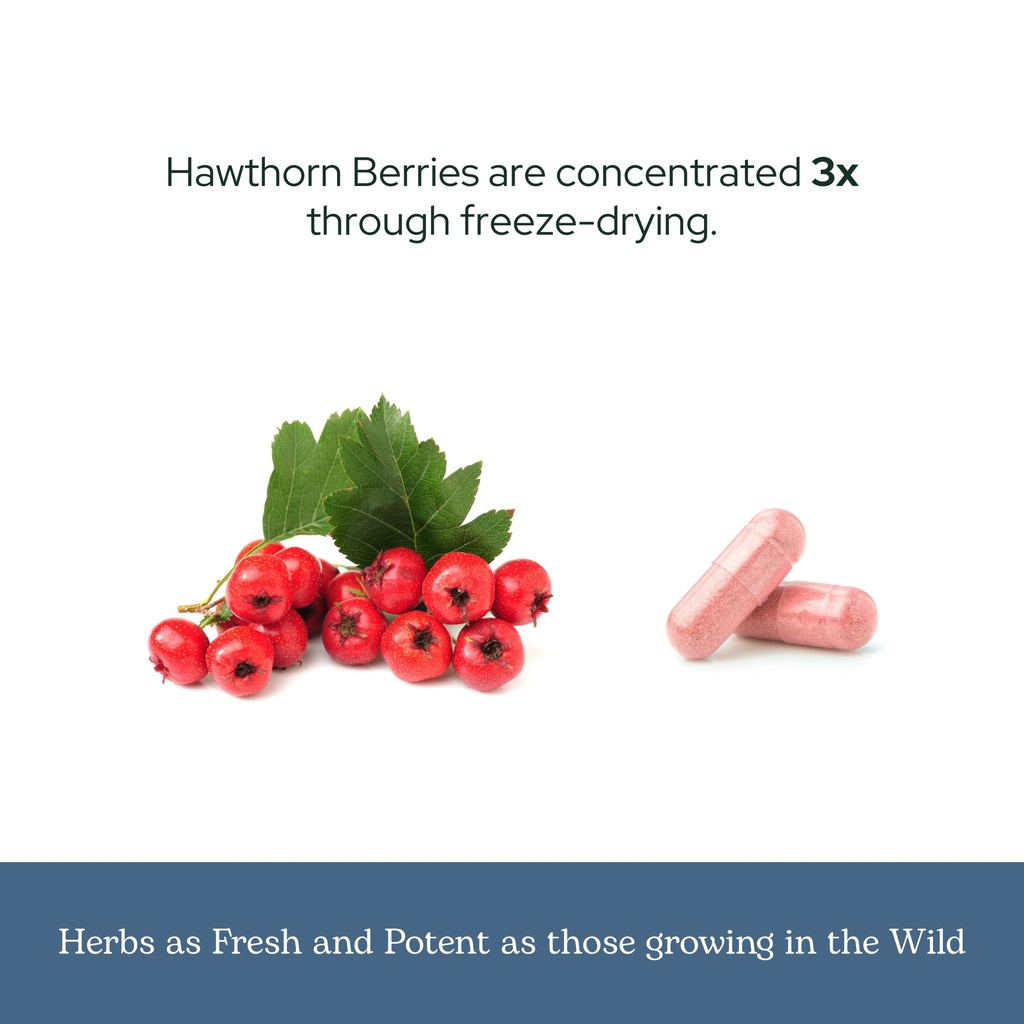eclectic-herb-hawthorn-berry-capsules-ca-6.jpg