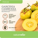 naturewise-garcinia-cambogia-60-hca-conc-5.jpg