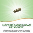 nature-s-way-gymnema-premium-extract-sup-3.jpg