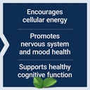 life-extension-acetyl-l-carnitine-acetyl-4.jpg