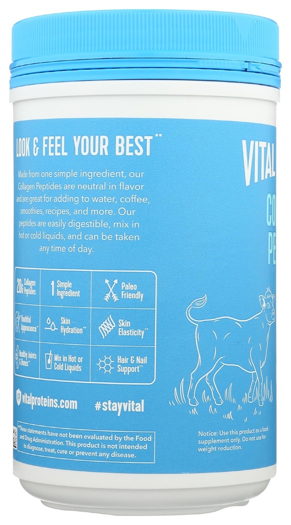 vital-proteins-collagen-peptide-protein--3.jpg