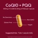 bestvite-coq10-100mg-w-pqq-20mg-120-vegg-5.jpg