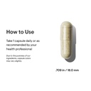 thorne-nutrient-essentials-duo-iron-bisg-3.jpg