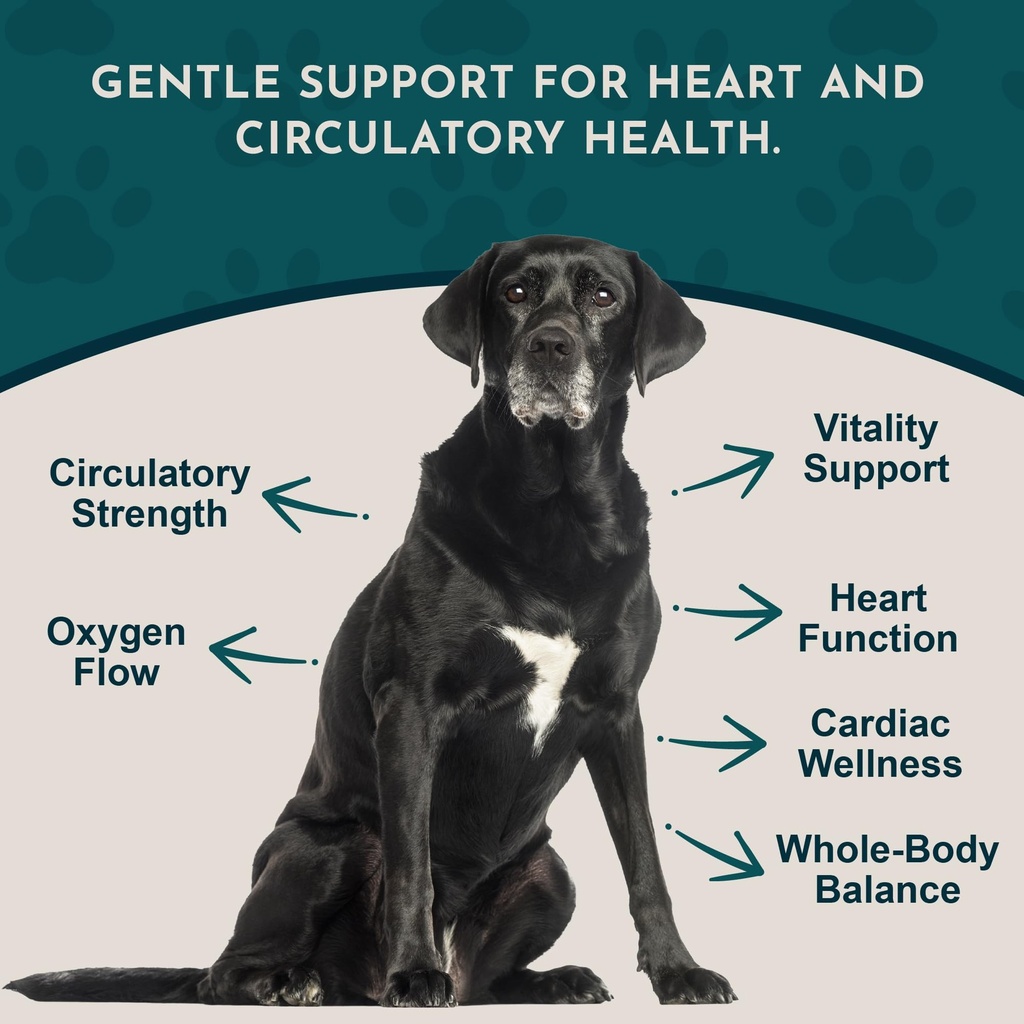 animal-essentials-heart-health-for-dogs--3.jpg