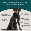 animal-essentials-heart-health-for-dogs--3.jpg