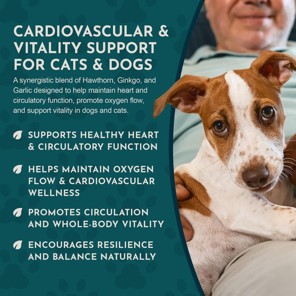 animal-essentials-heart-health-for-dogs--6.jpg