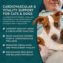 animal-essentials-heart-health-for-dogs--6.jpg