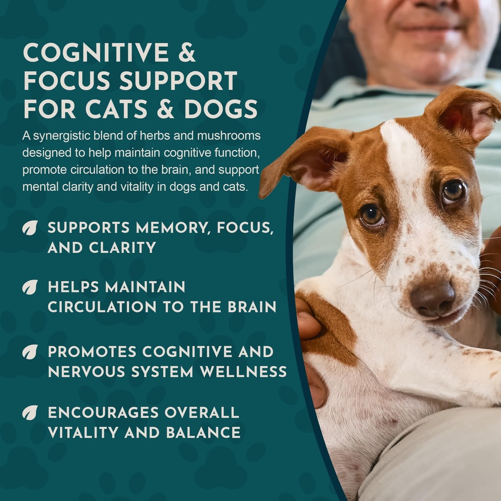 animal-essentials-brain-awake-cognitive--6.jpg