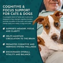 animal-essentials-brain-awake-cognitive--6.jpg