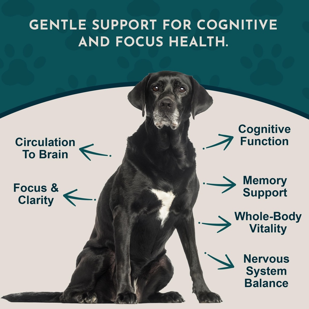 animal-essentials-brain-awake-cognitive--3.jpg