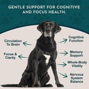 animal-essentials-brain-awake-cognitive--3.jpg