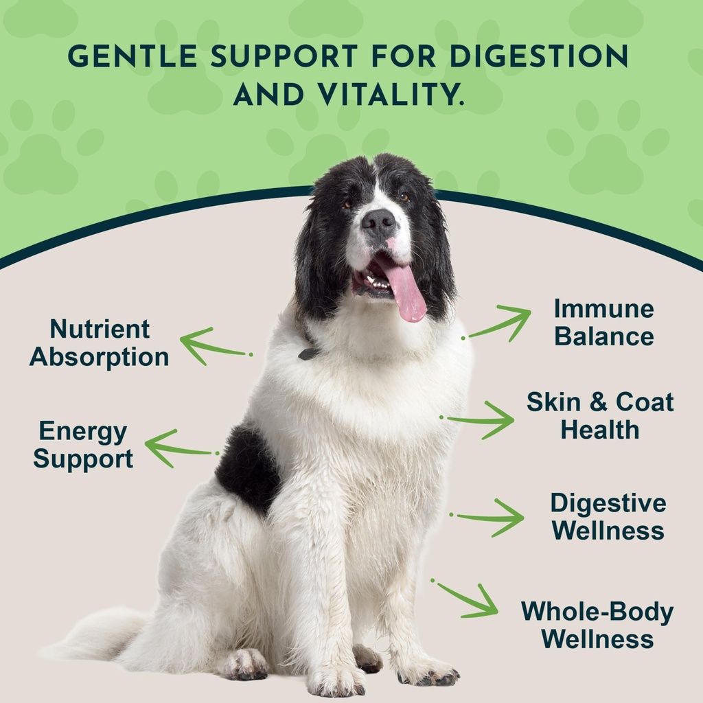animal-essentials-herbal-green-alternati-3.jpg