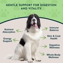 animal-essentials-herbal-green-alternati-3.jpg