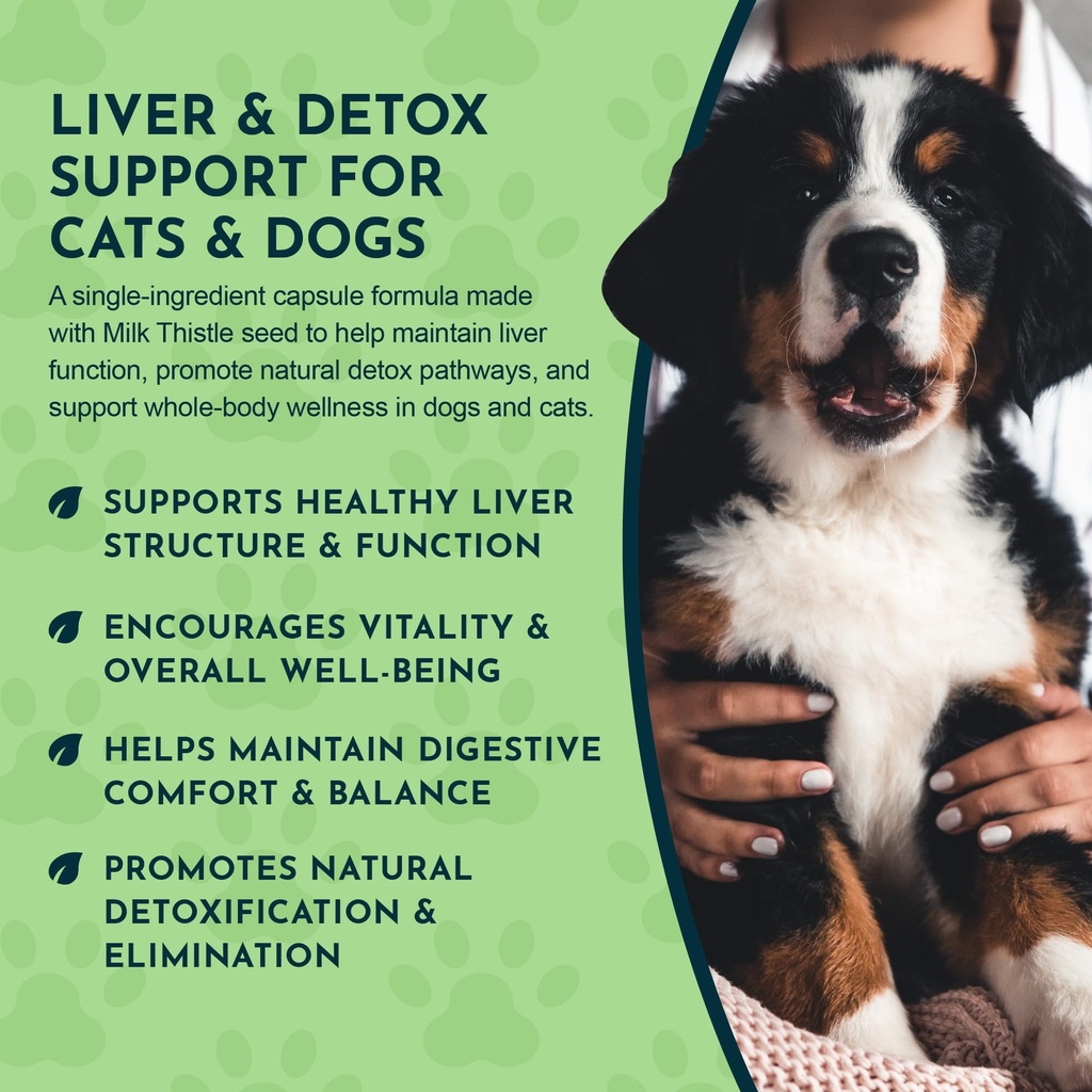 animal-essentials-milk-thistle-for-dogs--6.jpg