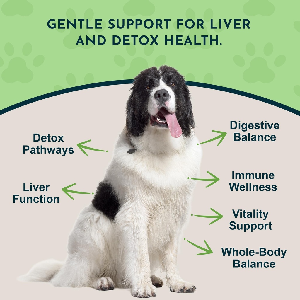 animal-essentials-milk-thistle-for-dogs--3.jpg