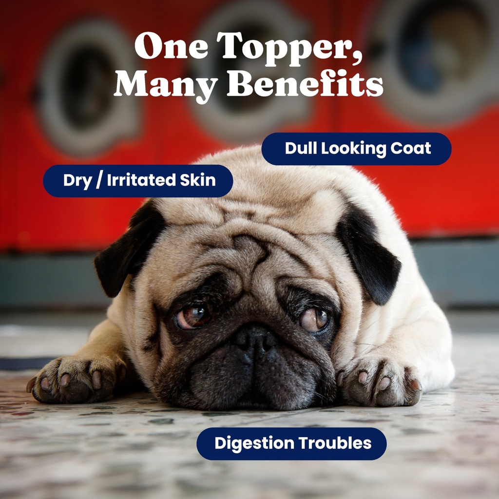 solid-gold-cat-dog-multivitamin-powder-k-2.jpg