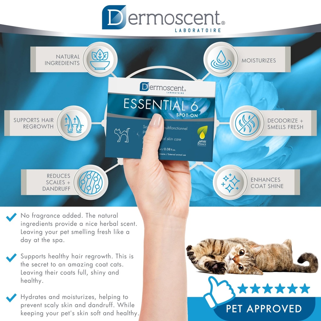 bayer-dermoscent-essential-6-spot-on-ski-4.jpg