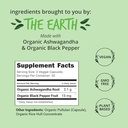 happy-healthy-hippie-glow-for-it-astaxan-3.jpg