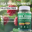 irish-sea-moss-gummies-3000mg-with-bladd-5.jpg