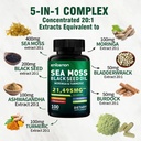 sea-moss-capsules-with-bladderwrack-burd-2.jpg