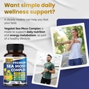 organic-sea-moss-with-bladderwrack-burdo-2.jpg
