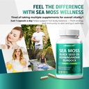 sea-moss-supplement-16-in-1-natural-blen-2.jpg