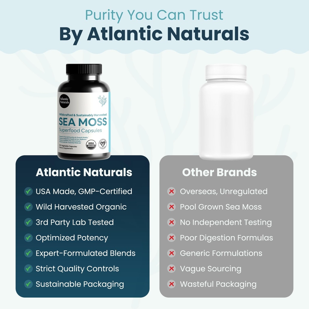 atlantic-naturals-superfood-organic-iris-6.jpg