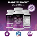 vitamatic-sea-moss-with-black-seed-oil-a-6.jpg