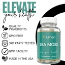 lumen-naturals-sea-moss-for-women-with-i-5.jpg