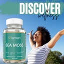 lumen-naturals-sea-moss-for-women-with-i-6.jpg