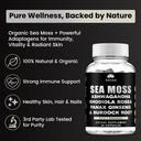 sahak-organic-sea-moss-capsules-with-ash-6.jpg