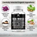 sahak-organic-sea-moss-capsules-with-ash-2.jpg