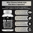 sahak-organic-sea-moss-capsules-with-ash-4.jpg