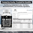 sahak-organic-sea-moss-capsules-with-ash-3.jpg