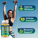 nature-s-live-organic-sea-moss-softgels--3.jpg