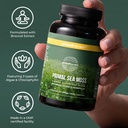 primal-harvest-sea-moss-capsules-with-bl-6.jpg