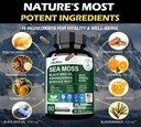 16-in-1-organic-sea-moss-gel-alternative-2.jpg