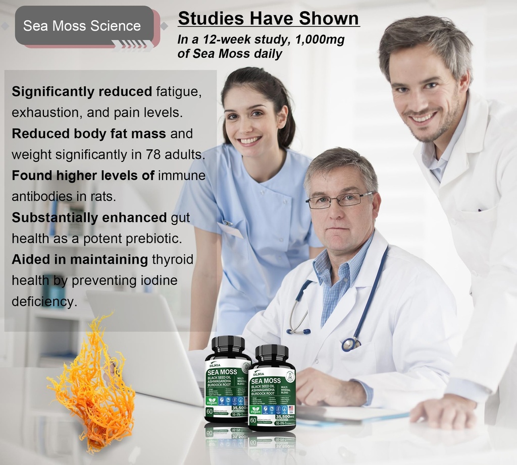 16-in-1-organic-sea-moss-gel-alternative-4.jpg